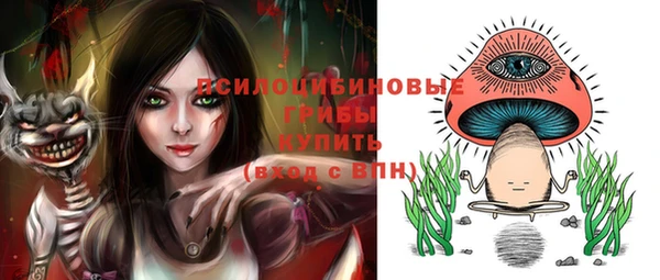apvp Бугульма