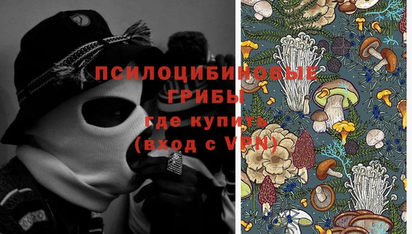 apvp Бугульма