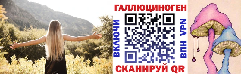 Псилоцибиновые грибы Psilocybine cubensis Южно-Сахалинск